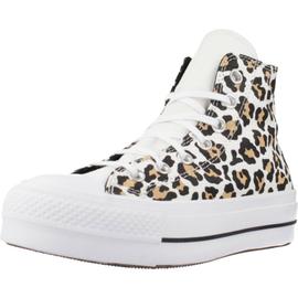 All star store animalier