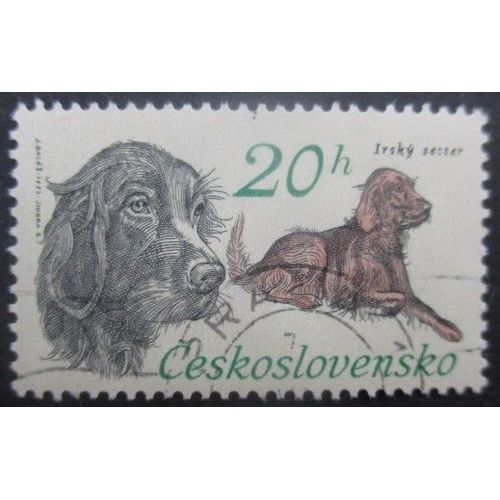 Tchecoslovaquie N°1999 Chiens Oblitéré