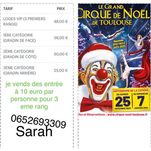 Billets Pour Cirque De Noel Toulouse