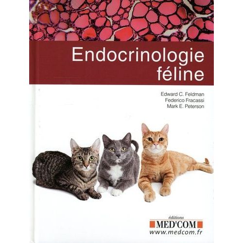 Endocrinologie Féline