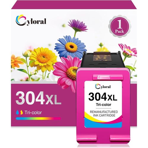 ERYI-304Xl Cartouche D'Encre Remplacement Pour Hp Cartouche 304 Xl Noir Deskjet 3700 2600 3750 3760 3762 3755 2620 2621 2622 2630 3720 3730 3764 Envy 5000 5010 5020 5030 5032 5058 5055 Imprimante