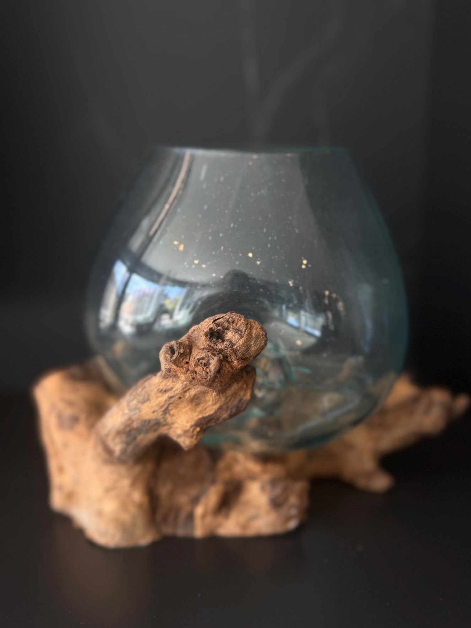 Vase en verre soufflé sur racine de bois exotique