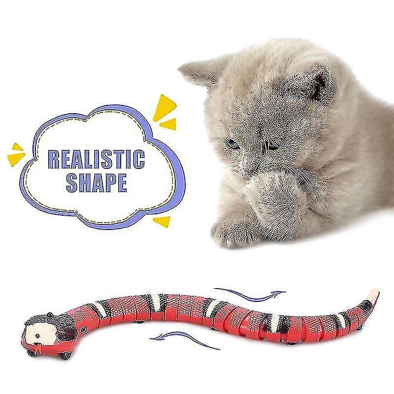 Le Chat De Dtection Intelligent De Serpent Joue Les Jouets ...