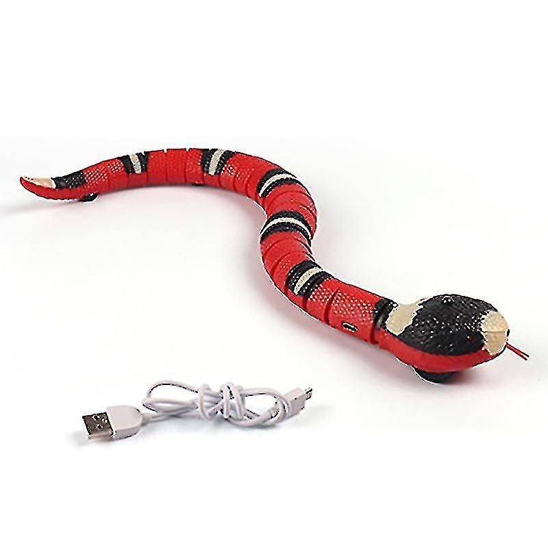Le Chat De Dtection Intelligent De Serpent Joue Les Jouets ... - 3