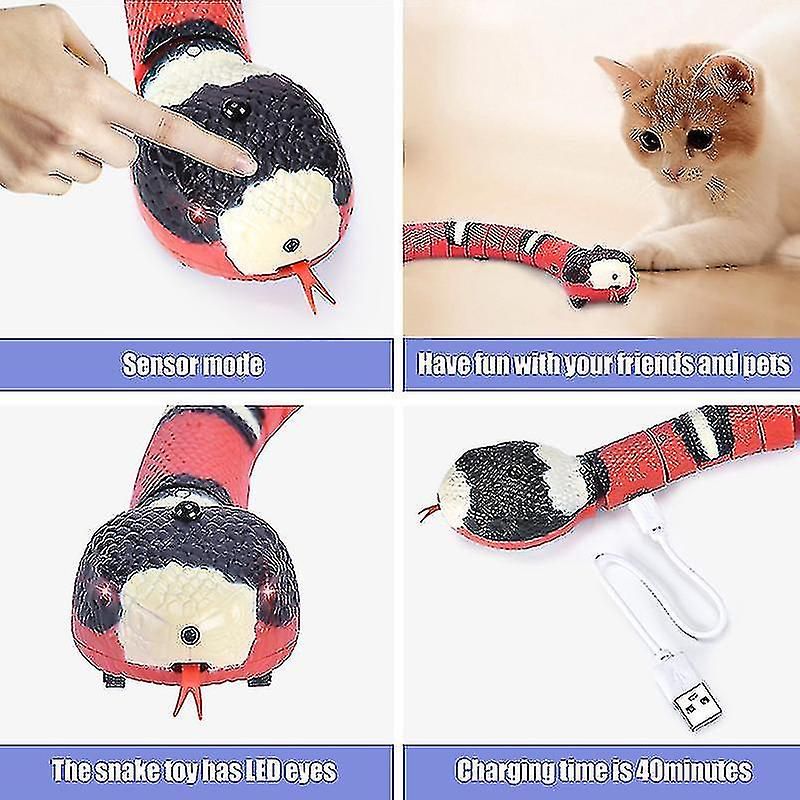 Le Chat De Dtection Intelligent De Serpent Joue Les Jouets ... - 4