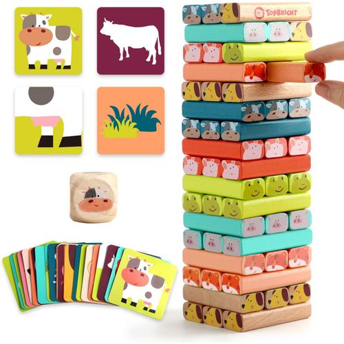Eryi-Jouet Tour De Blocs Empilables Colorés Et Animaux En Bois Pour Enfant De 4 5 6 7 8 Ans, 4 En 1 Jeux À Empiler Pour Garçon Et Fille 3 Ans, Cadeau Avec 51 Pièces