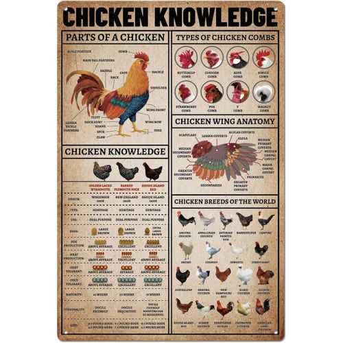 ERYI-Plaque Metal Vintage Avec Connaissances De Poulet De Ferme Plaque Murale Decorative Affiche D'Art Mural Plaque Decorative Metal À L'Ancienne Décoration De Cuisine Maison Deco Vintage