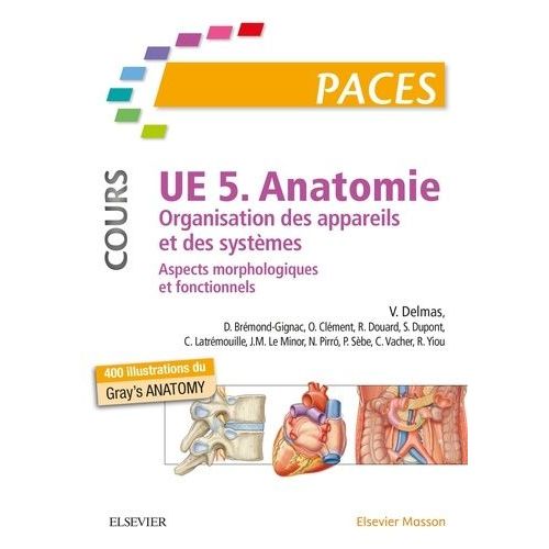 Ue 5 Anatomie - Organisation Des Appareils Et Des Systèmes - Aspects Morphologiques Et Fonctionnels