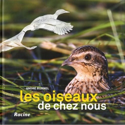 Les Oiseaux De Chez Nous