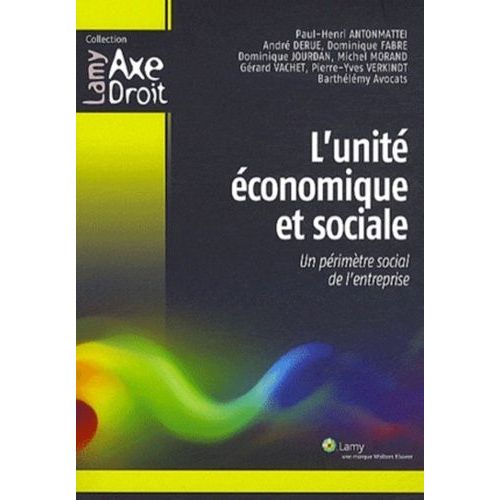 L'unité Économique Et Sociale - Un Périmètre Social De L'entreprise