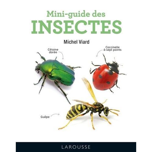 Mini-Guide Des Insectes