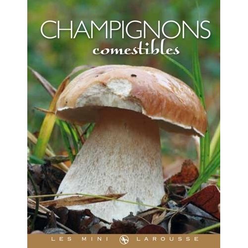 Champignons Comestibles