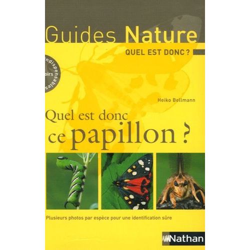 Quel Est Donc Ce Papillon ?