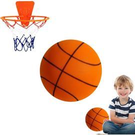 Au-Dessus de la Porte Panier de Basket Mini Panier de Basket avec Ballon  pour Enfants Adultes Chambre Panier de Basket Bureau Mini Cerceau