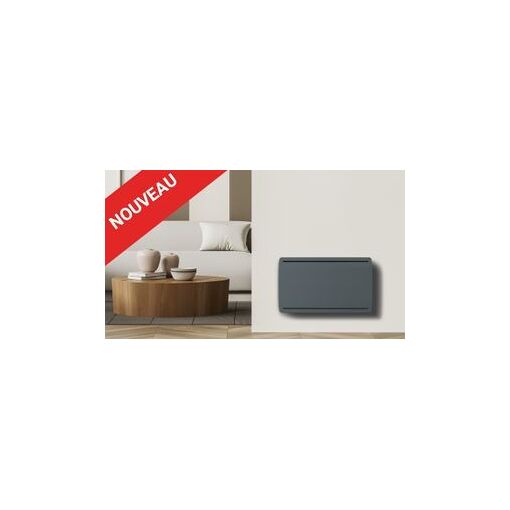 Version Gris 1500W