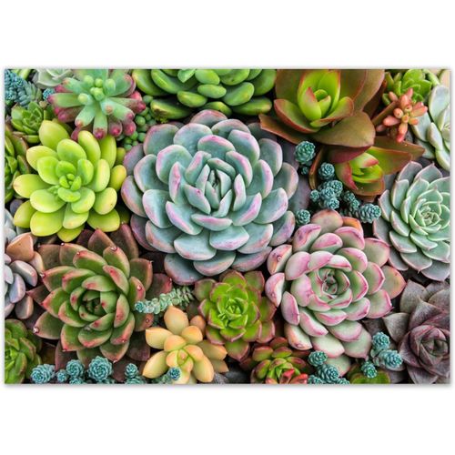Eryi-100 Sets De Table Avec Motif Plantes Succulentes I Din A3 Carré I Set De Table En Papier I Design Moderne I Set De Table Jetable I Vert I Restauration Et Usage Domestique I Dv1256