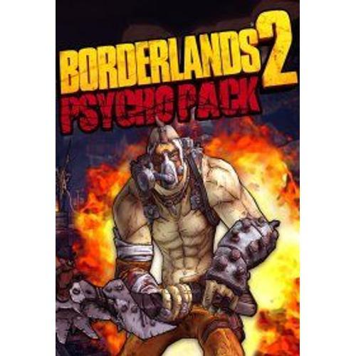 Borderlands 2 : Pack Sadique (Extension/Dlc) - Steam - Jeu En Téléchargement - Ordinateur Pc