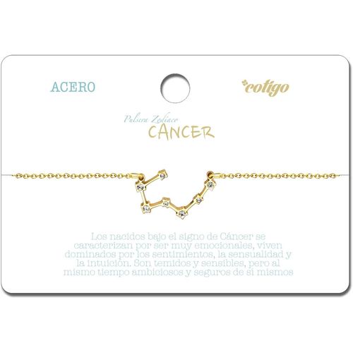 Eryi-, Bracelet Signe Du Zodiaque En Acier Inoxydable, Bracelet Horoscope Avec Zircone, Constellations Bijoux Astrologie Pour Femme - 12 Unités