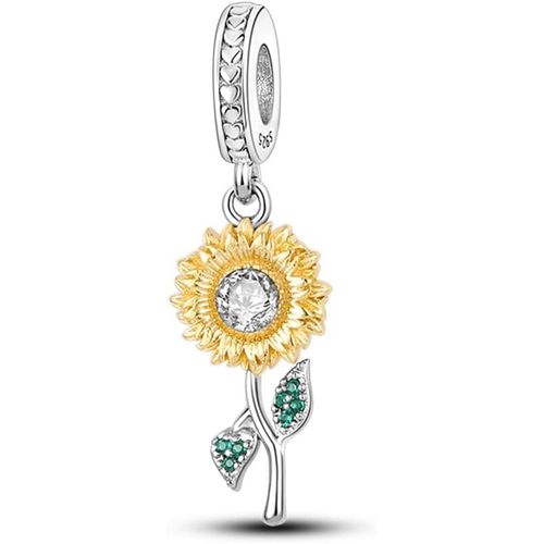 Eryi-Pendentif Charm Pour Femmes En Argent 925 - Perles Compatibles Avec Les Bracelets Pandora Et Les Colliers, Compatibles Avec Les Bracelets Européens Pour Femmes Et Filles, Modèle X2