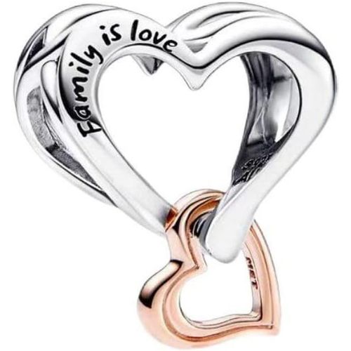 Eryi-Femme Charms-Famille Amour Animaux Argent Sterling 925 Pendentif Avec Zircon Cubique Pour Bracelet