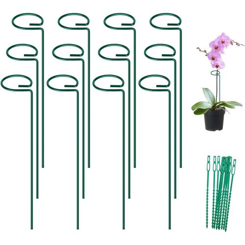 BLAZEFLUX-FEED GARDEN Tuteurs Metal Plantes 16 Pouces Lot de 12, Supports Fleurs et Legumes Exterieur 24 Attaches Lys Rose Pivoine