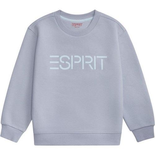 Esprit Sweat Bleu-Gris / Bleu Clair