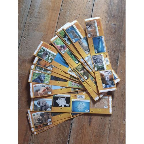Stickers Animaux Gros Lot