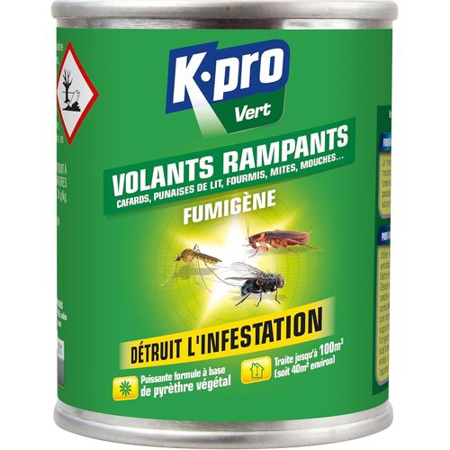 KALANKA-K.PRO Vert - Fumigène Insecticide Insectes Volants et Rampants - Spécial Infestation - Action Intégrale, Radicale & Longue Durée - Au Pyrèthre Végétal - Technique Professionnelle - 50g - envi