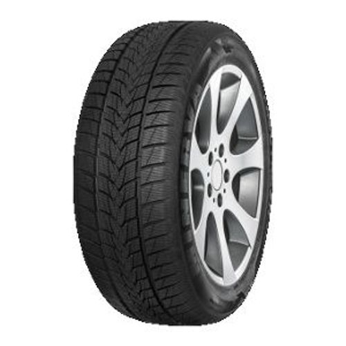 Pneu Minerva Frostrack UHP ( 215/50 R18 92V )