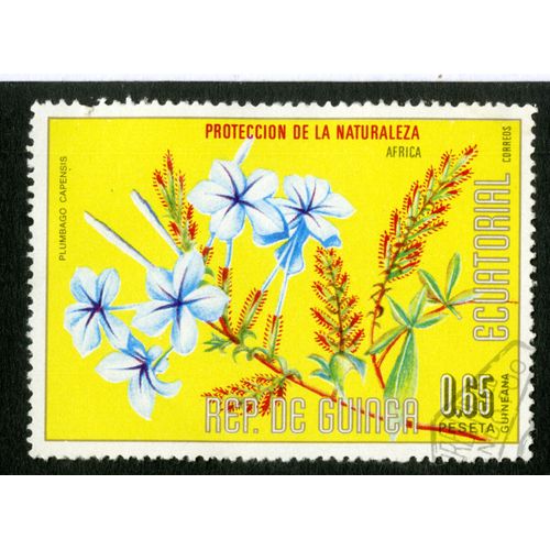 Timbre Oblitéré Rep. De Guinea, Proteccion De La Naturaleza , Africa, Plumbago Capensis, 0.65 Peseta