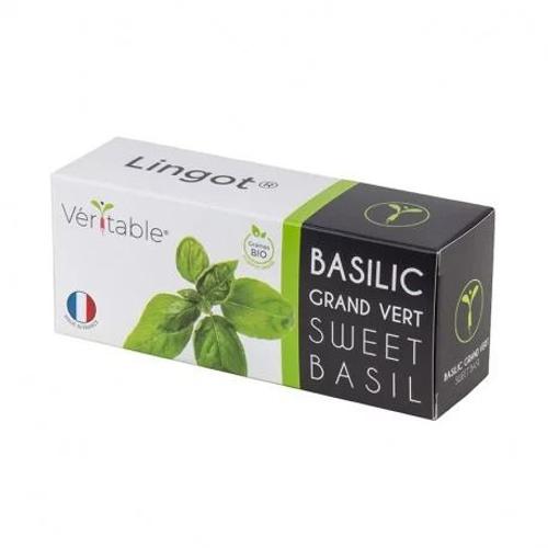 Lingot Basilic Grand Vert Bio Pour Potager Véritable