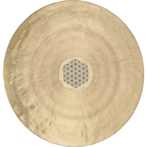 Meinl Wgfol16 Wind Gong Flower Of Life 16 Pouces