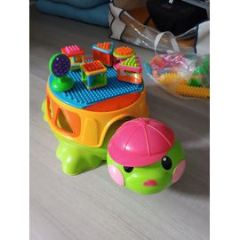 Tortue D'Éveil
