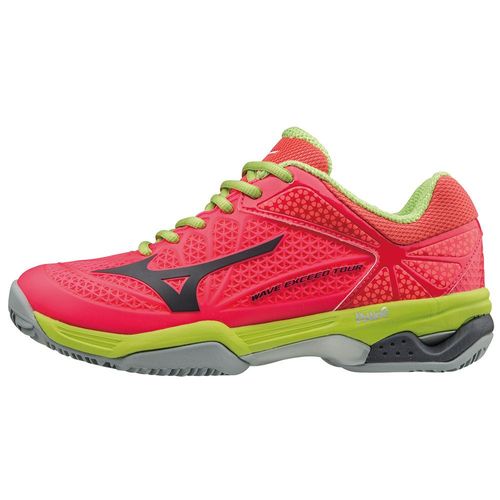 Chaussures Femme Mizuno Wave Tour 2