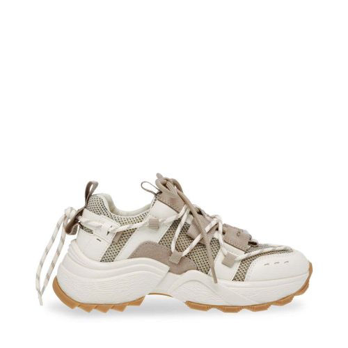 Baskets Femme Steve Madden Tazmania