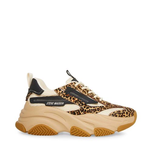 Baskets Steve Madden Possessionlse