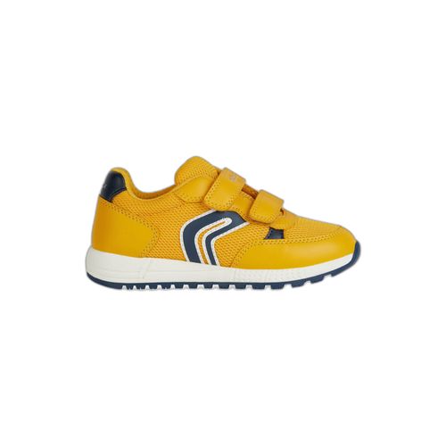 Baskets Femme Geox Alben