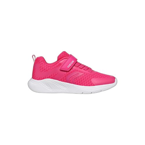 Baskets Femme Geox Sprintye