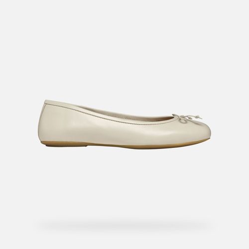 Chaussures Ballerines Geox Palmaria