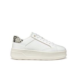 Chaussures Baskets Geox Spherica Ecubs2 B