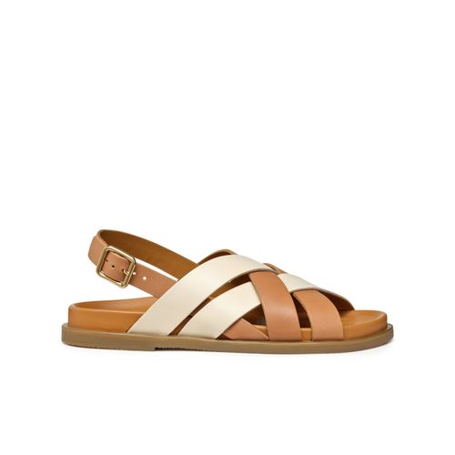 Chaussures Sandales Geox Adelash A