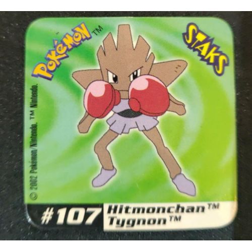 Pokemon Magnet Tygnon #107