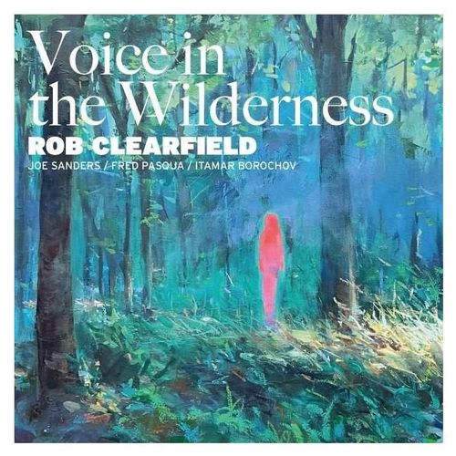 Voice In The Wilderness - Vinyle