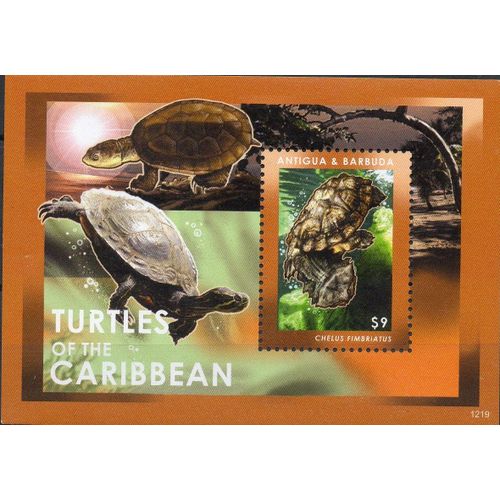 Antigua Y Barbuda Timbre Animaux : Les Tortues 2012