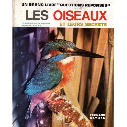 Les Oiseaux Et Leurs Secrets