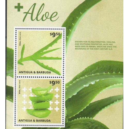Antigua Y Barbuda Timbre La Plante Aloe 2015