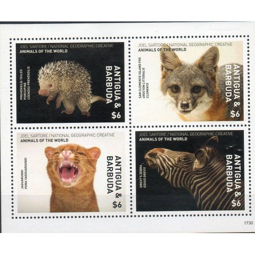 Antigua Y Barbuda Timbres Animaux Du Monde :2017