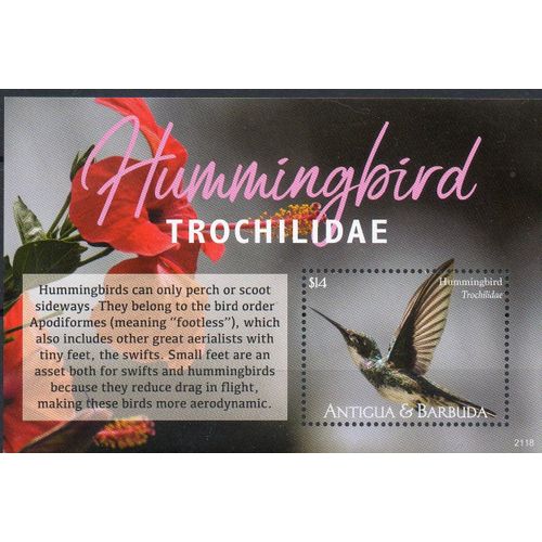 Antigua Y Barbuda Timbre L'Oiseau Moqueur 2021
