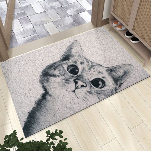 Hjlian Tapis D'entree Antiderapant, Resistant A La Salete Et A La Boue, Pour La Maison, Bobine De Fil En Pvc Type 3, 45 X 70 Cm