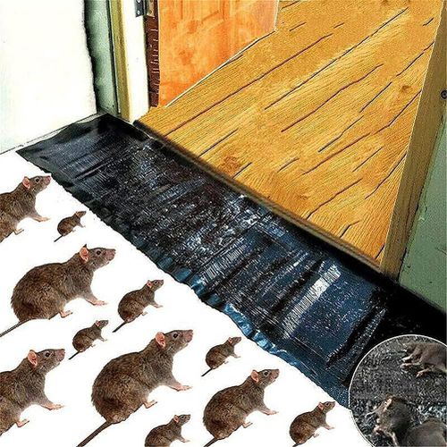 HJLIAN Piege a rats adhesif pour souris, piege a souris, piege a souris, piege a souris